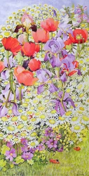Conservation des fleurs sauvages ; Bordure de jardin
